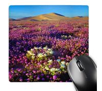 3dRose mp_209352_1 8" x 8" USA California Dumont Dunes. Desert Wildflowers at The Dumont Dunes. Mouse Pad