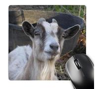 3dRose mp_21058_1 8 x 8-Inch Grey and White Goat Mouse Pad