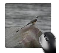 3dRose mp_21174_1 8 x 8-Inch Scissor Tailed Flycatcher Mouse Pad