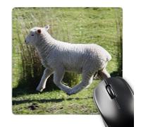 3dRose mp_22806_1 8 x 8-Inch Skipping Sheep Golden Bay New Zealand Mouse Pad