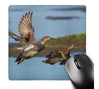 3dRose mp_228433_1 8" x 8" Gadwall Ducks Taking Flight Mouse Pad