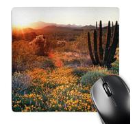 3dRose mp_229585_1 8" x 8" Arizona Organ Pipe Cactus Nm Wildflowers Among Saguaro Cacti Mouse Pad