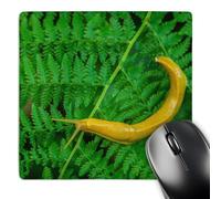 3dRose mp_229892_1 8" x 8" Usa California Redwoods National Park. Banana Slug on Fern. Mouse Pad