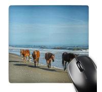 3dRose mp_231414_1 8" x 8" A Group of Wild Spanish Mustangs of Corolla Walking Along The Beach. Mouse Pad