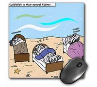 3dRose mp_2403_1 8 x 8-Inch Cuddlefish in Their Natural Environment Mouse Pad