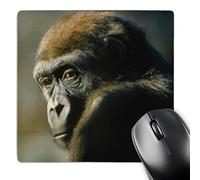 3dRose mp_2546_1 8 x 8-Inch Gorilla Portrait Mouse Pad