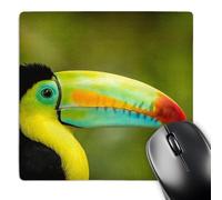 3dRose mp_258555_1 8" x 8" Central America Costa Rica. Keel-Billed Toucan Mouse Pad