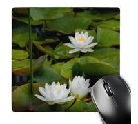 3dRose mp_259519_1 8" x 8" USA Michigan Pictured Rock. White Water Lily in a Pond. Mouse Pad