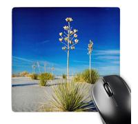 3dRose mp_259755_1 8" x 8" Soaptree Yucca in Dunes White Sands National Monument New Mexico Mouse Pad
