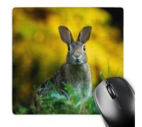 3dRose mp_262464_1 8" x 8" A Rabbit in The Autumn Grass Animal Rabbits Mouse Pad