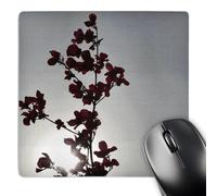 3dRose mp_30897_1 8 x 8-Inch Zen Floral Branch in The Sky Spirituality Flowers Mouse Pad