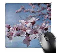 3dRose mp_30903_1 8 x 8-Inch Zen Cherry Blossom Branch Flowers Spirituality Mouse Pad