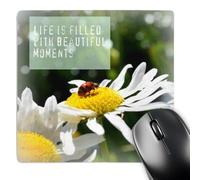 3dRose mp_31427_1 8 x 8-Inch Beautiful Moments Ladybug and Daisy Flowers Inspirational Mouse Pad