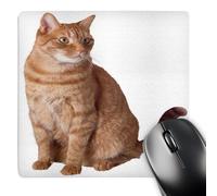3dRose mp_33178_1 8 x 8-Inch Orange Tabby Mouse Pad