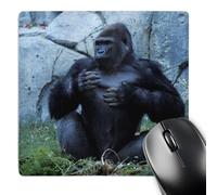 3dRose mp_37628_1 8 x 8-Inch Lowland Gorila, Gorilla Gorilla.Central West African Rainforest Mouse Pad