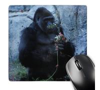 3dRose mp_37629_1 8 x 8-Inch Lowland Gorila in love with flowers Gorilla gorilla.Central West African Rainforest Mouse Pad
