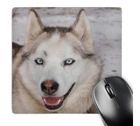 3dRose mp_37663_1 8 x 8-Inch Arctic Sledding Dog Grey, Churchill Manitoba Canada. Mouse Pad