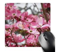 3dRose mp_44005_1 8 x 8 Pink Flowers of a Flowering Tree- Nature Photography- Flowers Mouse Pad