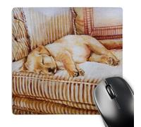 3dRose mp_44570_1 8 x 8 Little Yellow Lab Puppy Sleeping in The Sun On A Golden Striped Couch Mouse Pad