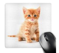 3dRose mp_44771_1 8 x 8 Cute Orange Tabby Kitten Mouse Pad