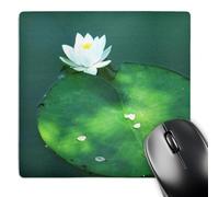 3dRose mp_44783_1 8 x 8 White Lotus Blossom On Green Lily Pad Mouse Pad