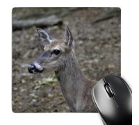 3dRose mp_49912_1 8 x 8 The Head Part of a Deer Picture Mouse Pad