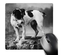3dRose mp_50694_1 8 x 8 Jack Russell Terrier (Black and White) Mouse Pad