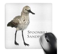 3dRose mp_51598_1 8 x 8 Spoonbill Sandpiper Shorebird Mouse Pad