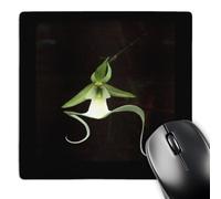 3dRose mp_53293_1 8 x 8 Rare Exotic Ghost Orchid Mouse Pad
