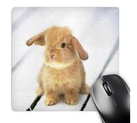 3dRose mp_55173_1 8 x 8 Adorable Barbara Bunny Rabbit Mouse Pad