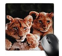 3dRose mp_600_1 8 x 8-Inch African Lion Cubs Mouse Pad