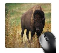 3dRose mp_62343_1 8 x 8-Inch American Bison on The Great Plains Mouse Pad