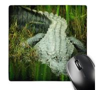 3dRose mp_62370_1 8 x 8-Inch Grow Them Big Here in Florida an Alligator Mouse Pad
