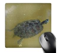 3dRose mp_7362_1 8 x 8-Inch Timmy Turtle Mouse Pad