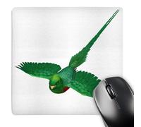 3dRose mp_77207_1 8 x 8-Inch Resplendent Quetzal Mouse Pad