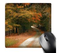 3dRose mp_79493_1 8 x 8-Inch Fall Leaves on a Country Road in Georgia Mouse Pad