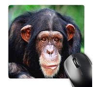 3dRose mp_80232_1 8 x 8-Inch Almost Human Chimpanzee Mouse Pad