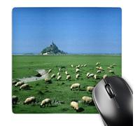 3dRose mp_81482_1 8 x 8-Inch France, Brittany, Mt Saint Michel, Sheep Farm Animal - Eu09 Dbn0787 - David Barnes Mouse Pad