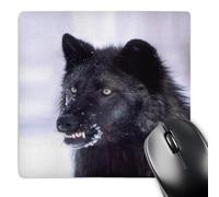 3dRose mp_83896_1 8 x 8-Inch Black Timber Wolf Snarling, Canus Lupus - Na02 Dno0314 - David Northcott Mouse Pad