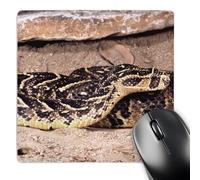 3dRose mp_83950_1 8 x 8-Inch Cape Puff Adder Snake, Africa - Na02 Dno0429 - David Northcott Mouse Pad