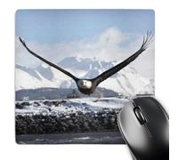 3dRose mp_84011_1 8 x 8-Inch Bald Eagle, Homer, Alaska - Na02 Dno0620 - David Northcott Mouse Pad