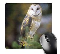 3dRose mp_84070_1 8 x 8-Inch Barn Owl on a Fence Post - Na02 Jal0000 - John Alves Mouse Pad