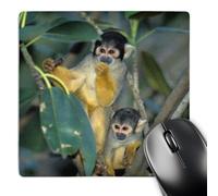 3dRose mp_84079_1 8 x 8-Inch Common Squirrel Monkey, Amazonia, Captive - Na02 Ksc0021 - Kevin Schafer Mouse Pad