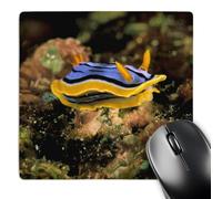 3dRose mp_84127_1 8 x 8-Inch Close Up of Nudibranch, Marine Life - Na02 Mwt0008 - Michele Westmorland Mouse Pad