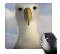 3dRose mp_86304_1 8 x 8-Inch Waved Albatross, Punta Cevallos, Galapagos Islands - Sa07 Pox0908 - Pete Oxford Mouse Pad