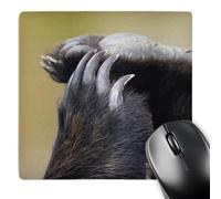 3dRose mp_87546_1 8 x 8-Inch Grizzly Bear Paws and Claws - Us02 Jgs0037 - Jim Goldstein Mouse Pad