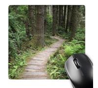 3dRose mp_88622_1 8 x 8-Inch Path, Giant Redwood Trees, Redwood Np, California - Us05 Rkl0043 - Raymond Klass Mouse Pad