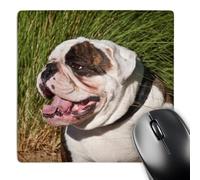 3dRose mp_88783_1 8 x 8-Inch A Portrait of an English Bulldog - Us05 Zmu0087 - Zandria Muench Beraldo Mouse Pad
