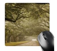 3dRose mp_89414_1 8 x 8-Inch USA, Georgia, Savannah, an Oak Lined Drive - Us11 Jwl0367 - Joanne Wells Mouse Pad