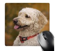 3dRose mp_90839_1 8 x 8-Inch Massachusetts, Reading, Labradoodle Dog - Us22 Jen0071 - Jim Engelbrecht Mouse Pad